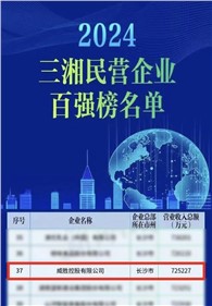 喜讯｜威胜控股上榜2024三湘民营企业百强榜单，排名第37位