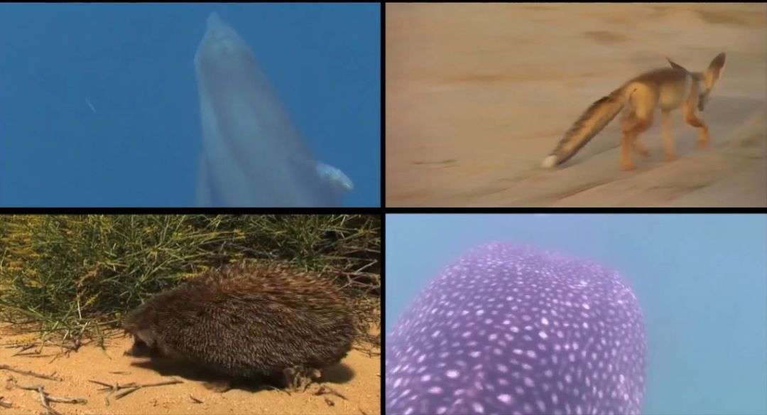 zoty中欧体育·(中国集团)官方网站