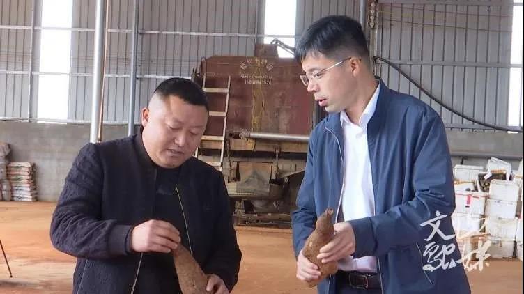 zoty中欧体育·(中国集团)官方网站