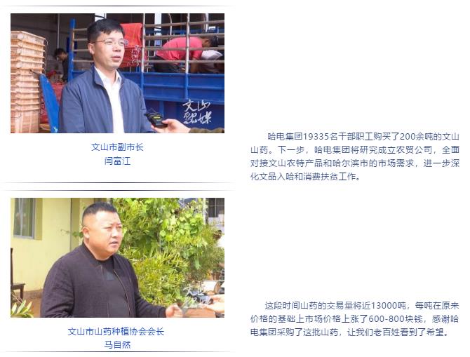 zoty中欧体育·(中国集团)官方网站