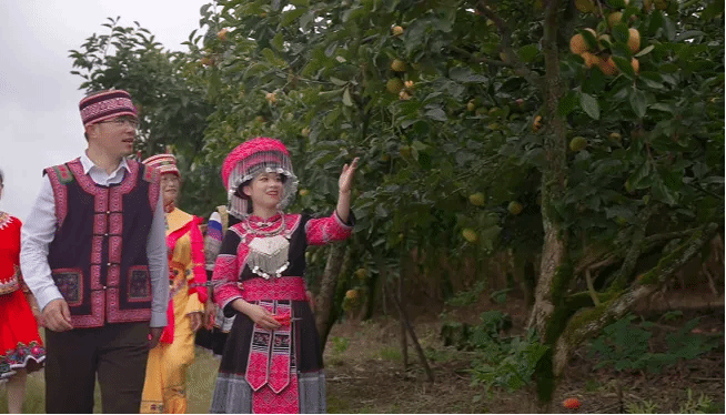 zoty中欧体育·(中国集团)官方网站