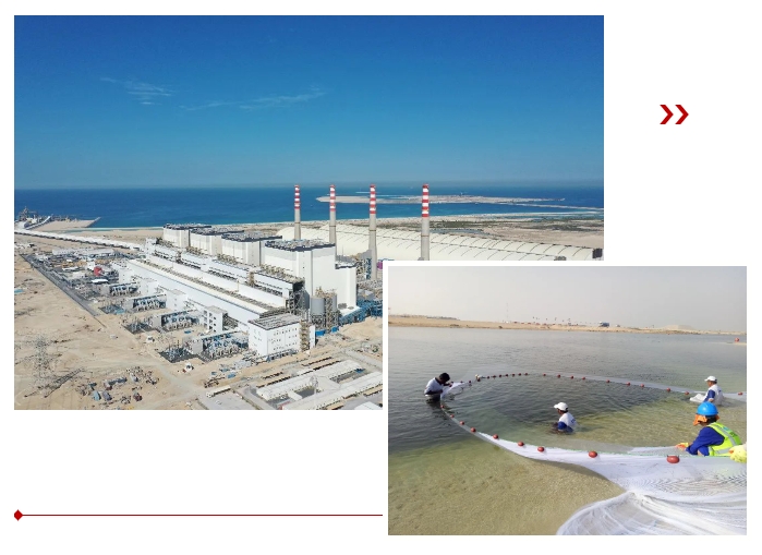 zoty中欧体育·(中国集团)官方网站