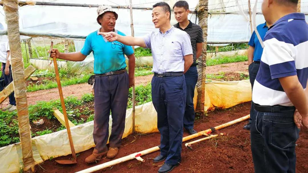 zoty中欧体育·(中国集团)官方网站