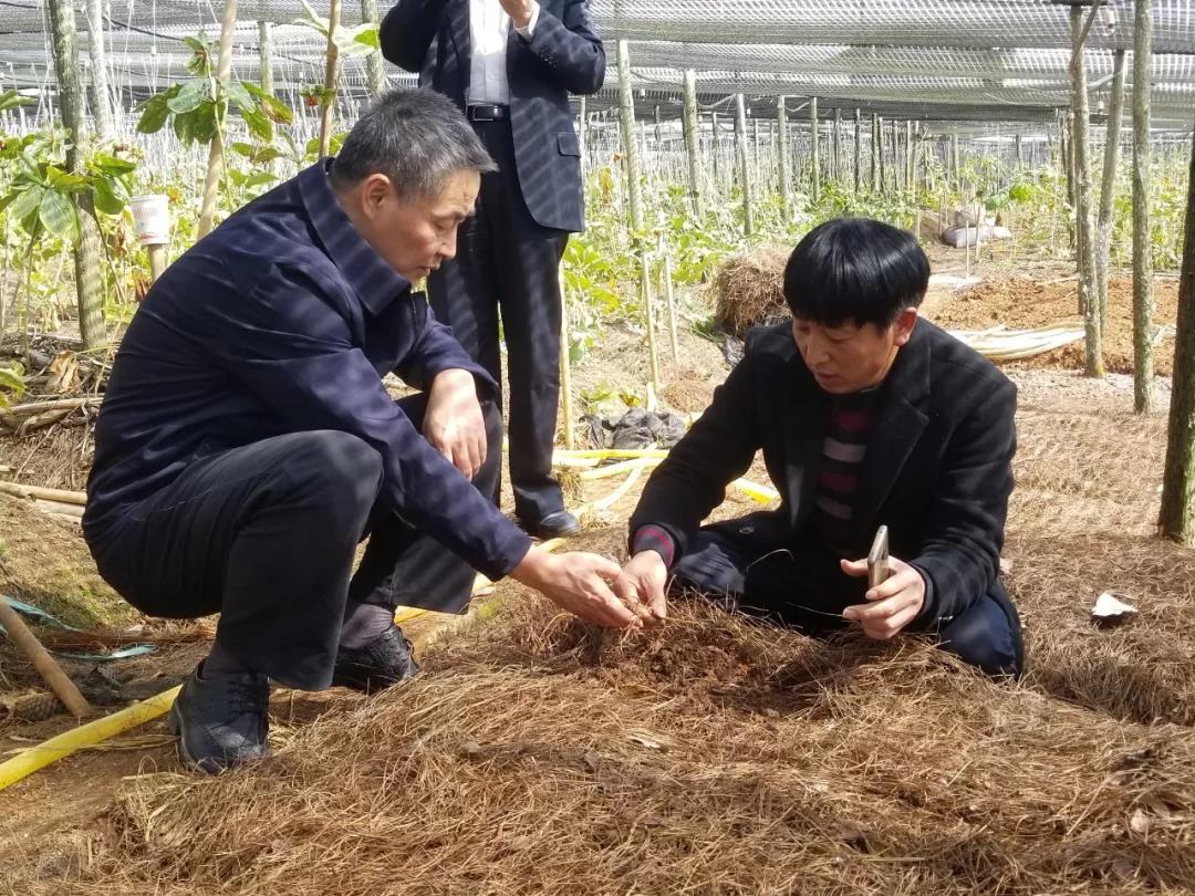 zoty中欧体育·(中国集团)官方网站