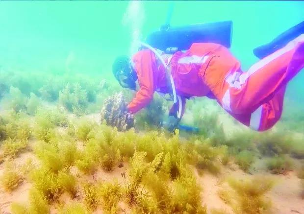 zoty中欧体育·(中国集团)官方网站