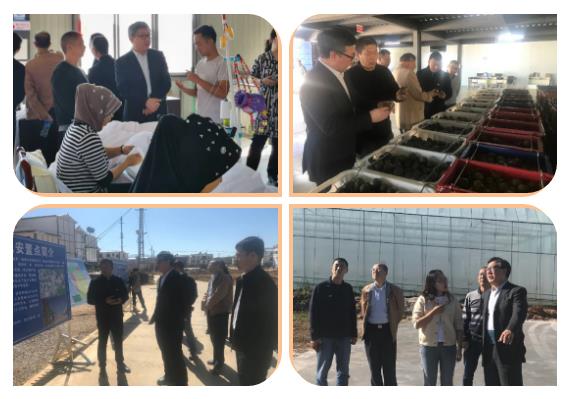 zoty中欧体育·(中国集团)官方网站