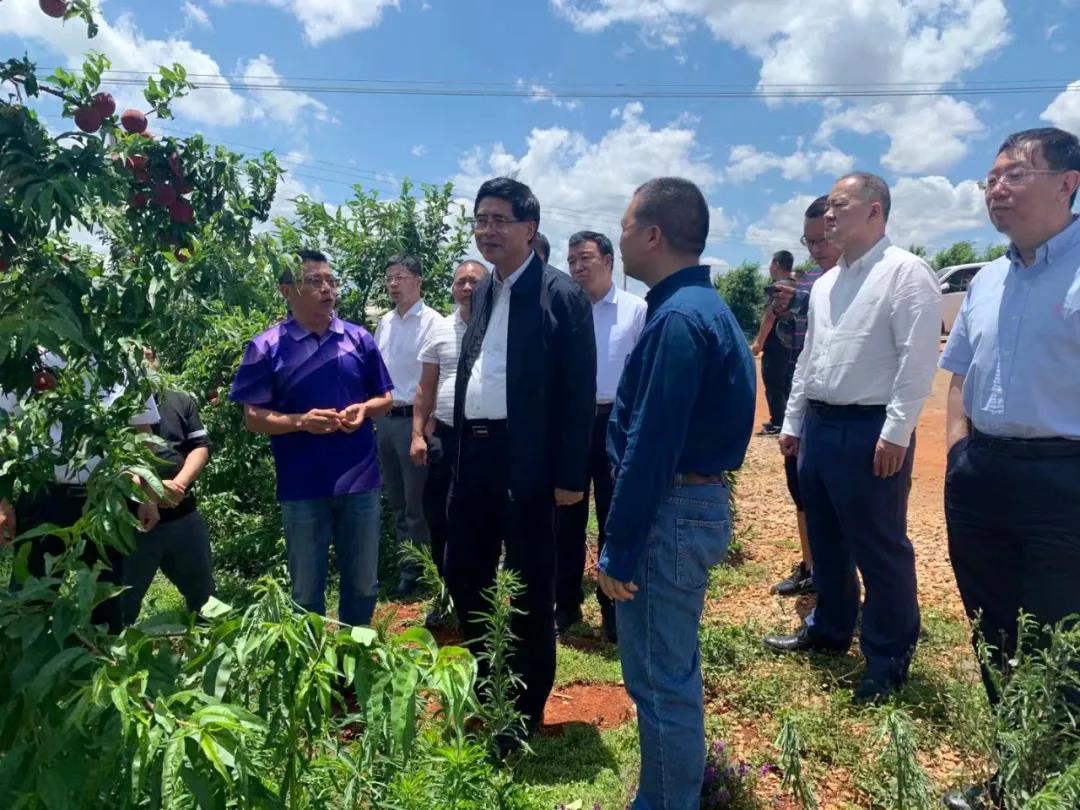 zoty中欧体育·(中国集团)官方网站