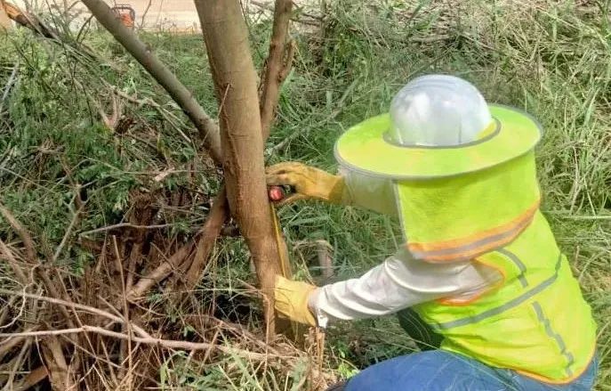 zoty中欧体育·(中国集团)官方网站