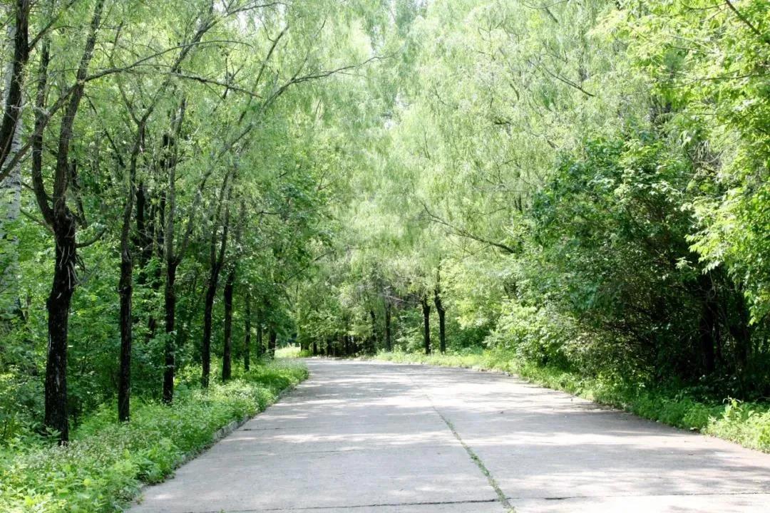 zoty中欧体育·(中国集团)官方网站