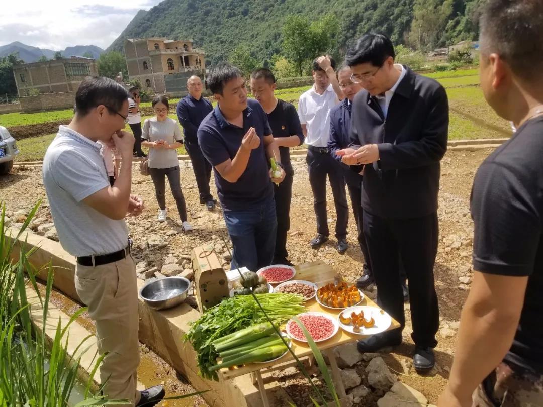 zoty中欧体育·(中国集团)官方网站