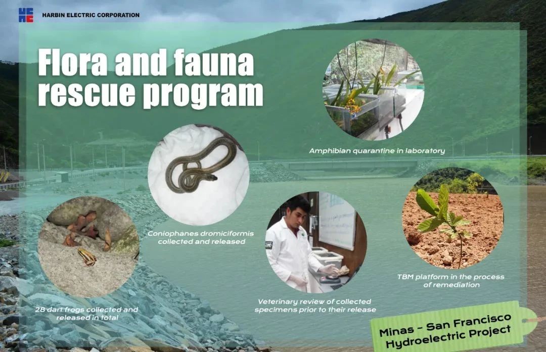 zoty中欧体育·(中国集团)官方网站