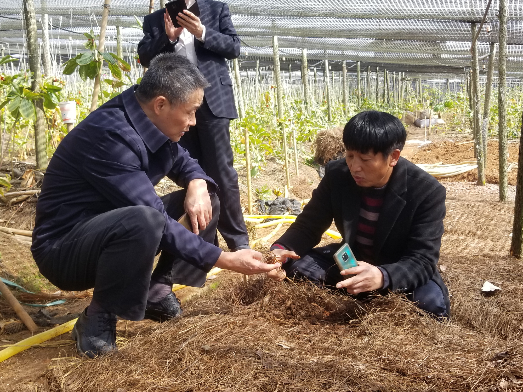 zoty中欧体育·(中国集团)官方网站