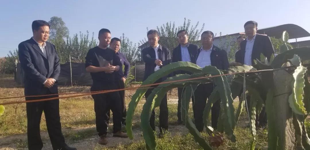 zoty中欧体育·(中国集团)官方网站