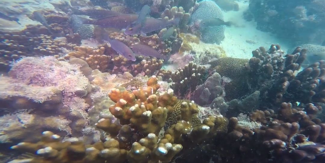 zoty中欧体育·(中国集团)官方网站