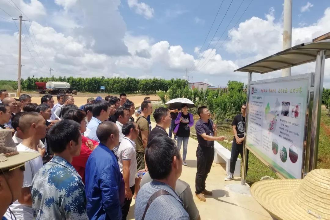 zoty中欧体育·(中国集团)官方网站