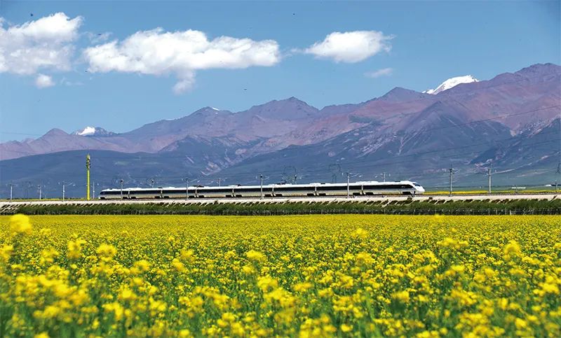 张玉卓、国资、央企、国资委、书记、主任、国企、企业刷新