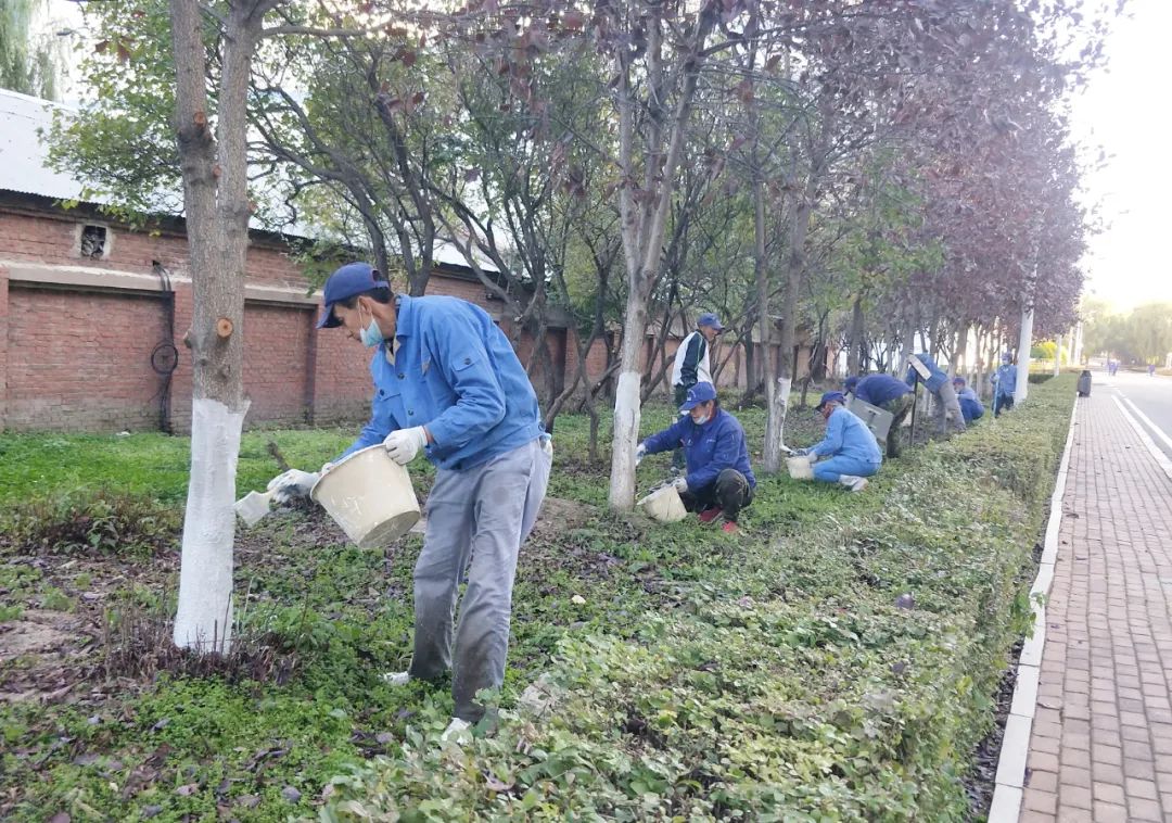 zoty中欧体育·(中国集团)官方网站