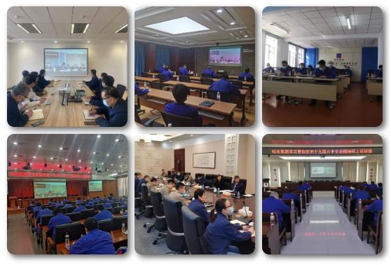 zoty中欧体育·(中国集团)官方网站