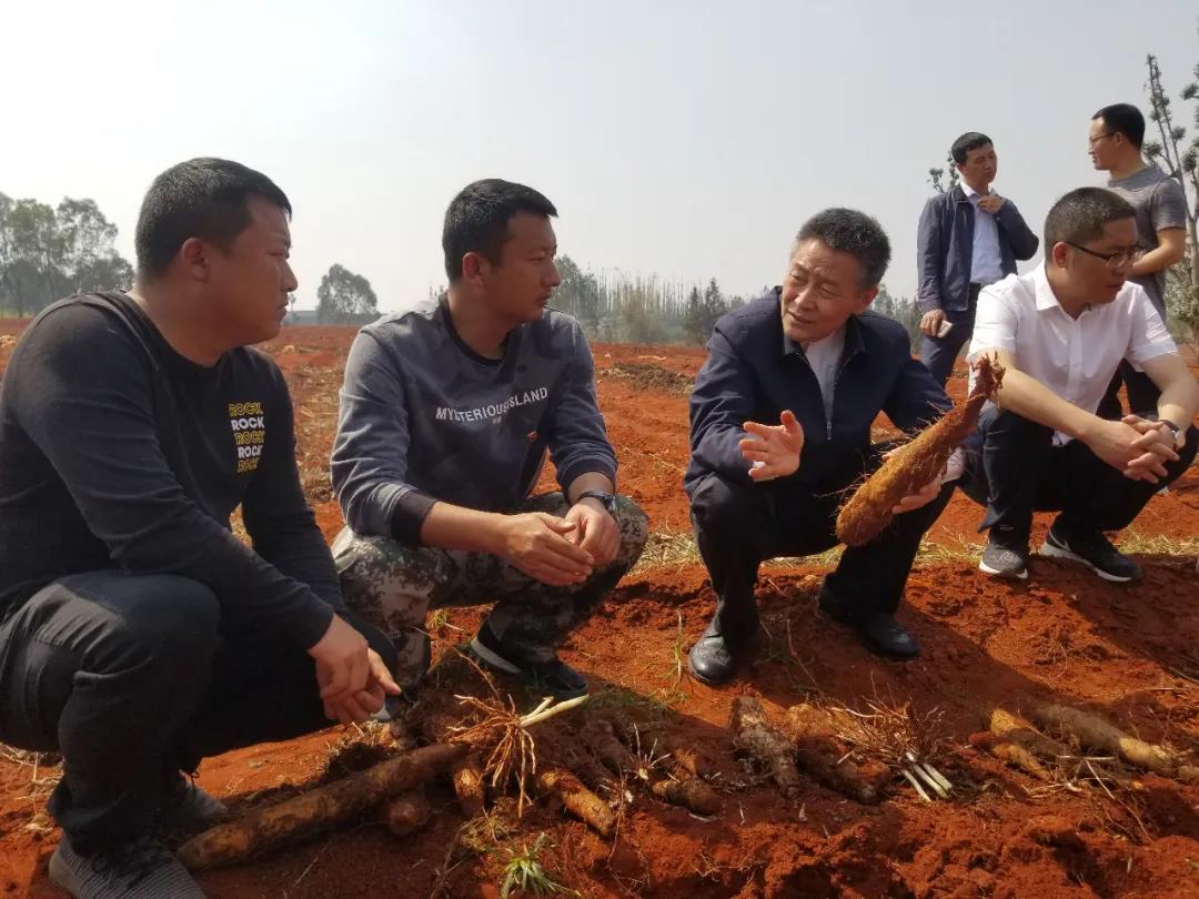 zoty中欧体育·(中国集团)官方网站