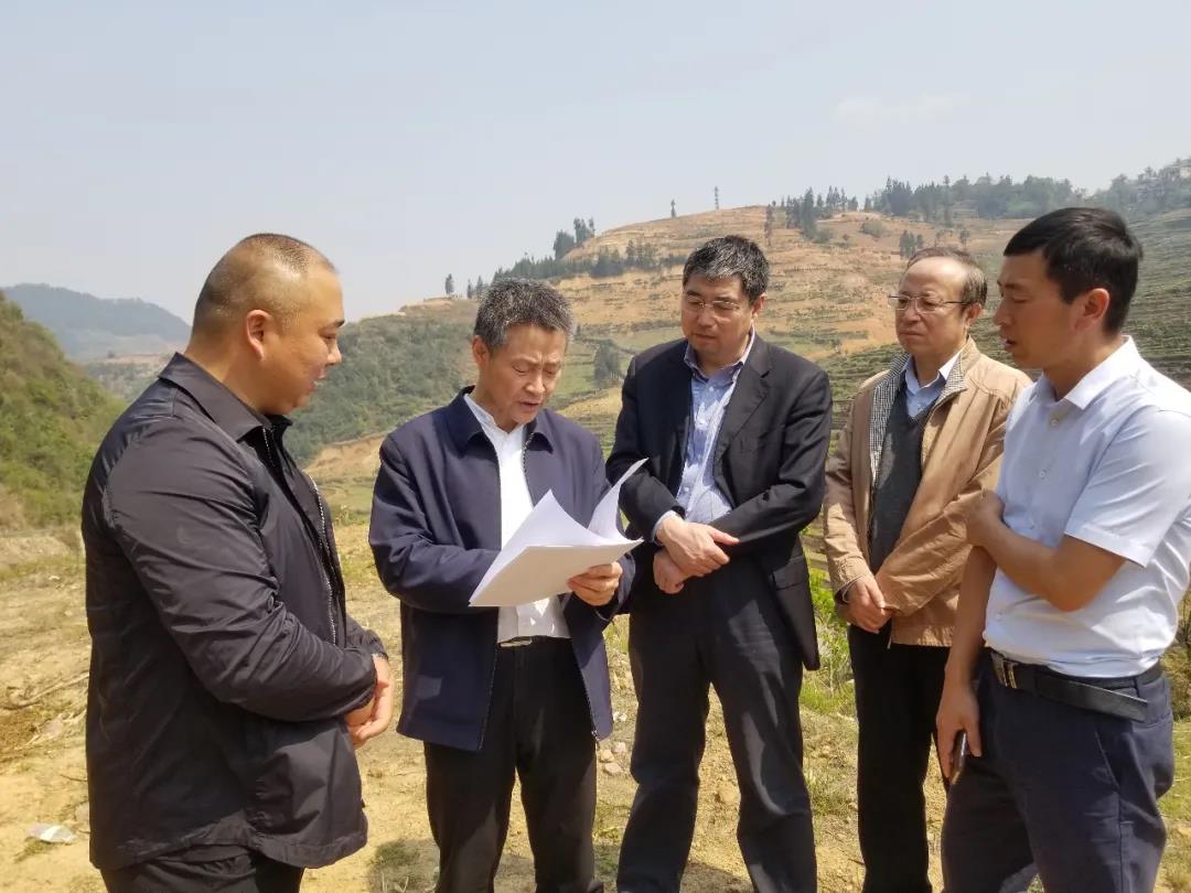 zoty中欧体育·(中国集团)官方网站