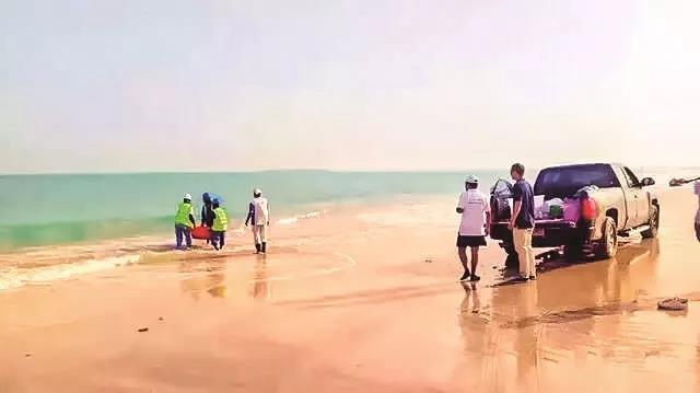 zoty中欧体育·(中国集团)官方网站