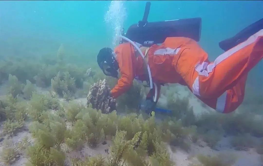 zoty中欧体育·(中国集团)官方网站